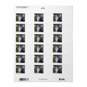 オオカミ ラベル (フルシート)