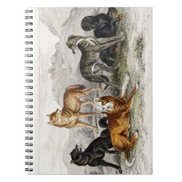 オオカミ、北米のクロオオカミ、グレイハウンド ノートブック