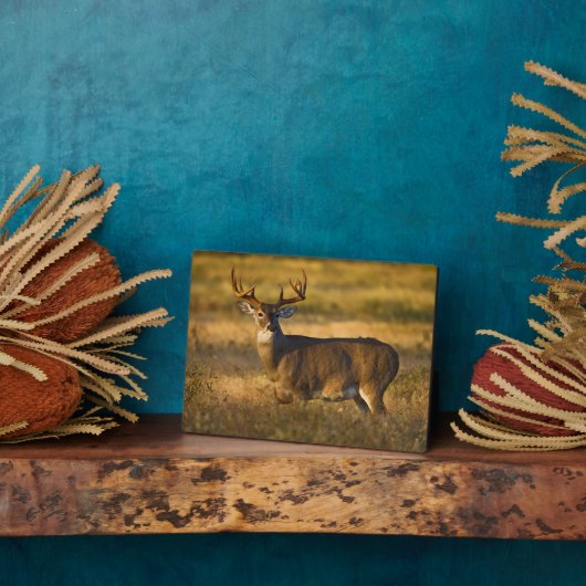 オオカミ |南テキサス州 フォトプラーク (側面)