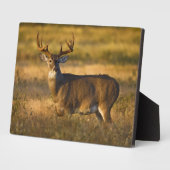 オオカミ |南テキサス州 フォトプラーク (側面)