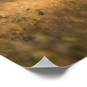 オオカミ |南テキサス州 ポスター (角)