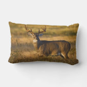 オオカミ |南テキサス州 ランバークッション (裏面)