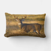 オオカミ |南テキサス州 ランバークッション (正面)