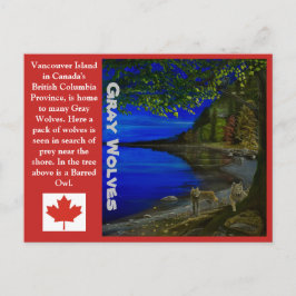 オオカミ！灰色の狼と野蛮なフクロウ。 ポストカード