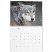 オオカミ 狼 野生動物 壁   カレンダー (3月 2027)