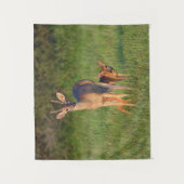 オオカミ |草の生えた生息地 タペストリー (正面)