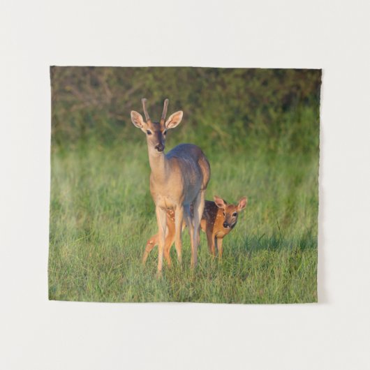 オオカミ |草の生えた生息地 タペストリー (正面(横))