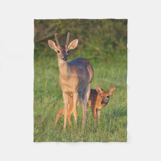 オオカミ |草の生えた生息地 フリースブランケット (正面)