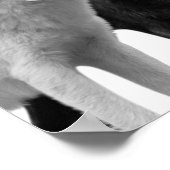 オオカミ 黒 白 キャビン ラスティック フォト ポスター (角)