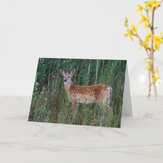 オオカミ | National Bison Range Montana カード (黄色い花)