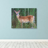 オオカミ | National Bison Range Montana キャンバスプリント (インサイチュ (ウッドフロア))