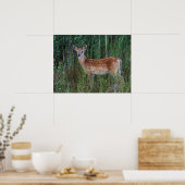 オオカミ | National Bison Range Montana ポスター (キッチン)