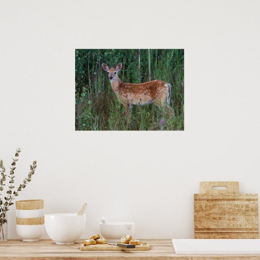 オオカミ | National Bison Range Montana ポスター (キッチン)