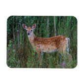 オオカミ | National Bison Range Montana マグネット (横)