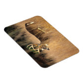 オオカミ | Smoky Mountains Tennessee マグネット (右側)