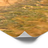 オオカミ | South TX ポスター (角)