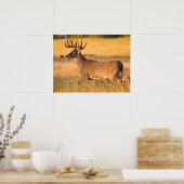 オオカミ | South TX ポスター (キッチン)