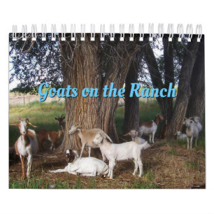 オオガッツオンザランチv3カレンダー カレンダー