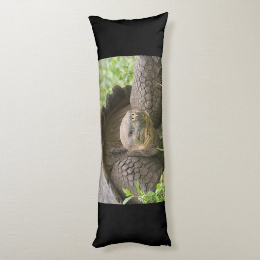 オオガメ ボディピロー (裏面 (縦))