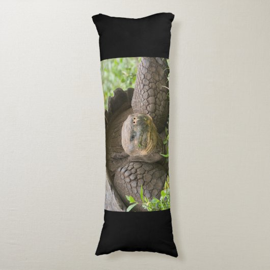 オオガメ ボディピロー (正面縦)