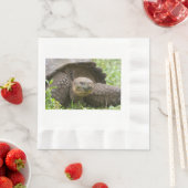 オオガメ 縁ありランチョンナプキン (インサイチュ)