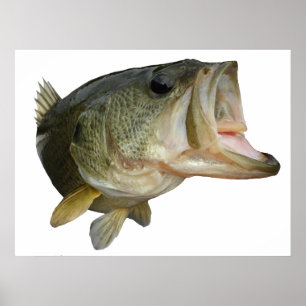 オオクチバスの魚 ポスター