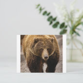 オオクマムシ ポストカード (スタンド正面)