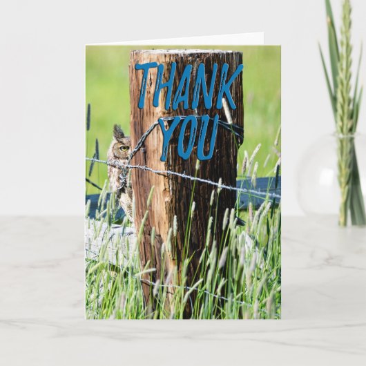 オオコノハズクの写真感謝カード サンキューカード (正面)