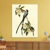 オオサギフライングキャッチャー、オードゥボンのアメリカの鳥 キャンバスプリント (インサイチュ (リビング))