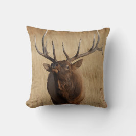 オオシカおよび目の膨張 クッション