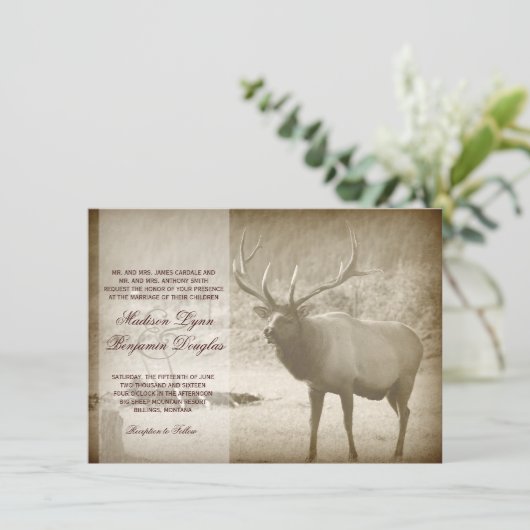 オオシカのビッグ・ゲームの野性生物の(雄ジカの)枝角の結婚式招待状 招待状 (スタンド正面)