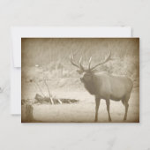 オオシカのビッグ・ゲームの野性生物の(雄ジカの)枝角の結婚式招待状 招待状 (裏面)