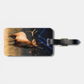 オオシカ充満 ラゲッジタグ (裏面横)