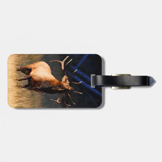 オオシカ充満 ラゲッジタグ (裏面横)