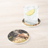 オオシカ コースター (側面)