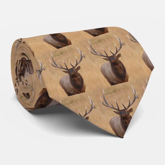 オオシカ ネクタイ (ロール)