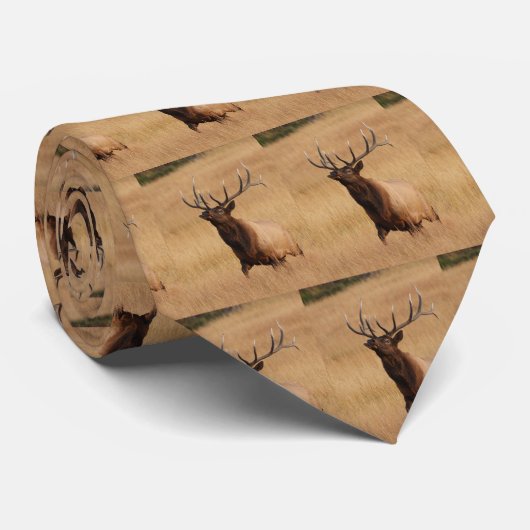 オオシカ ネクタイ (ロール)