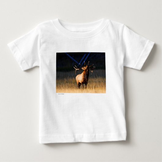 オオシカ ベビーTシャツ (正面)
