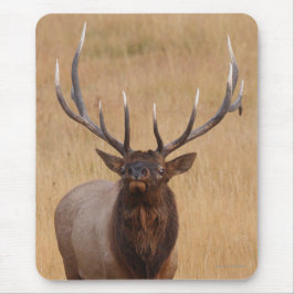 オオシカ マウスパッド