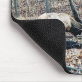 オオシカ マウスパッド (コーナー)