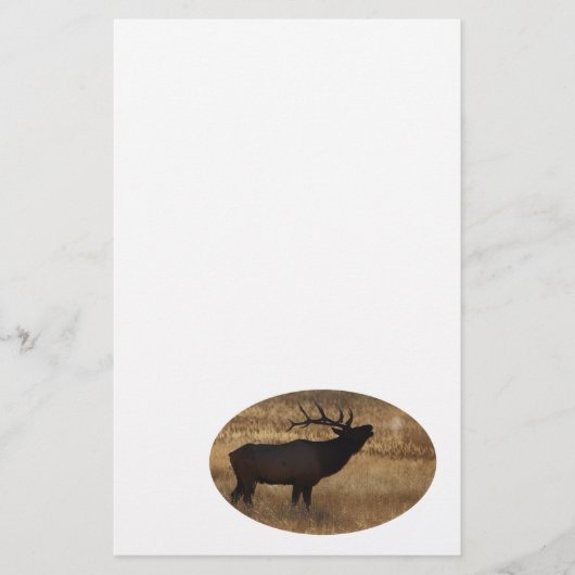 オオシカ 便箋 (正面)