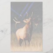 オオシカ 便箋 (正面)