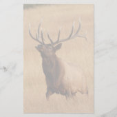 オオシカ 便箋 (正面)