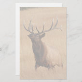 オオシカ 便箋 (正面/裏面)