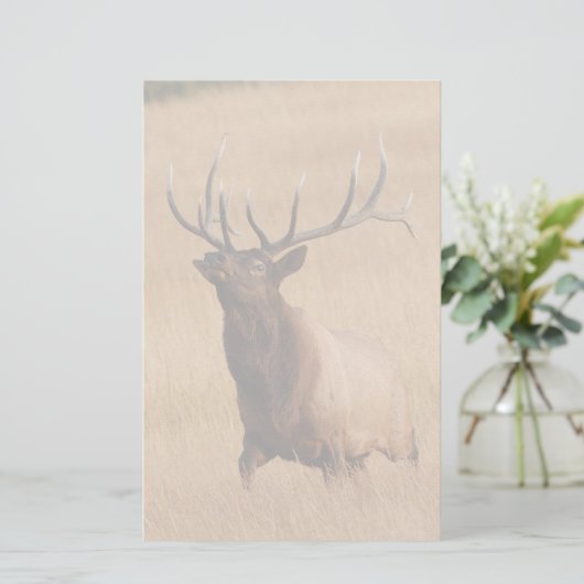 オオシカ 便箋 (スタンド正面)