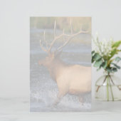 オオシカ 便箋 (スタンド正面)