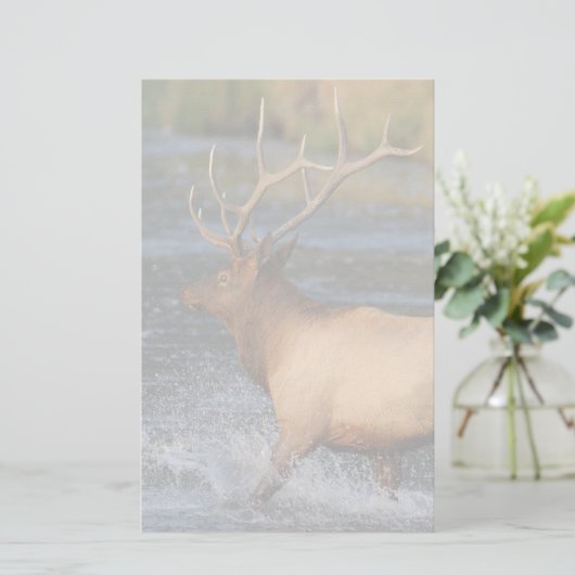 オオシカ 便箋 (スタンド正面)