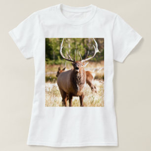 オオシカBugling Tシャツ
