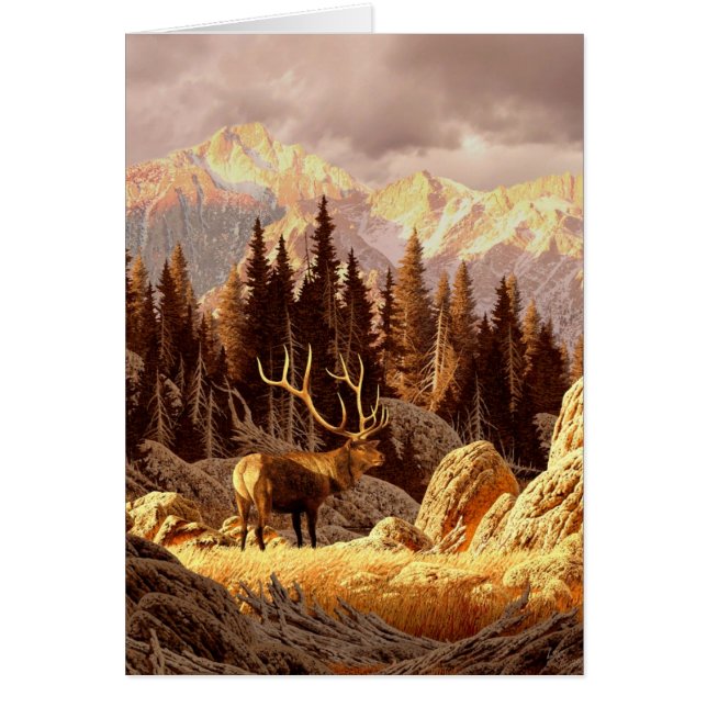 オオシカBull (正面)