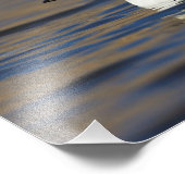 オオシドウガモ フォトプリント            (角)